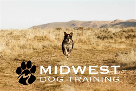 nerdy academy|dog trainers in south dakota.